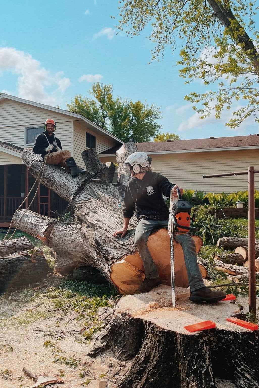Two arborists cutting a fallen tree with chainsaws in a residential yard.