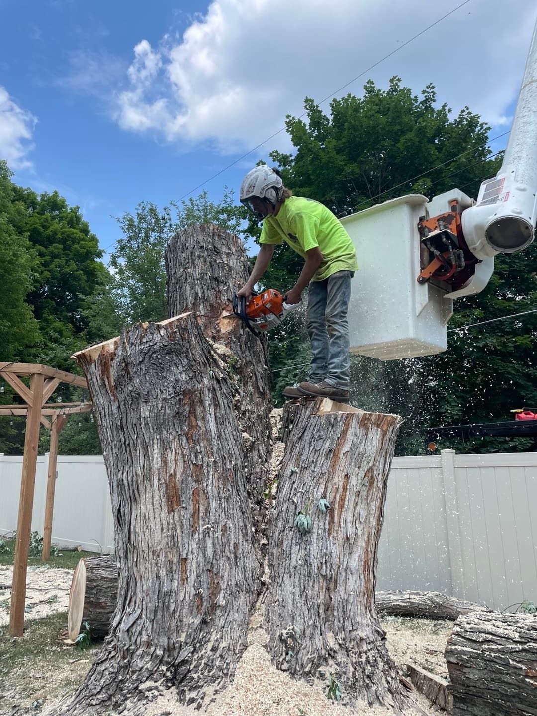 Tree worker using a chainsaw to cut a tree trunk while standing on a stump outdoors.