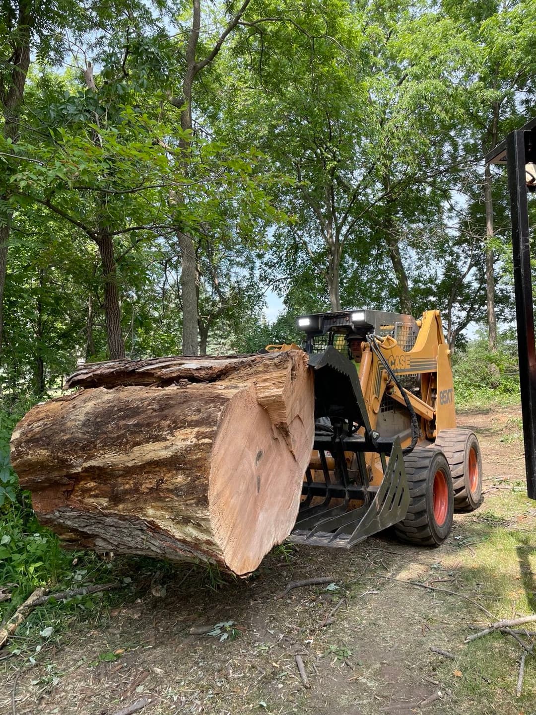 Skid steer loader lifting large log in wooded area, showcasing forestry equipment in use.