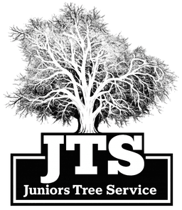 Juniors Tree Service