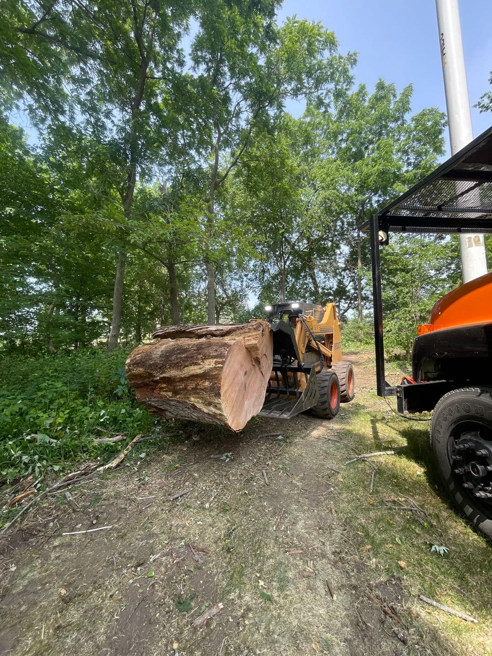 Land Clearing image