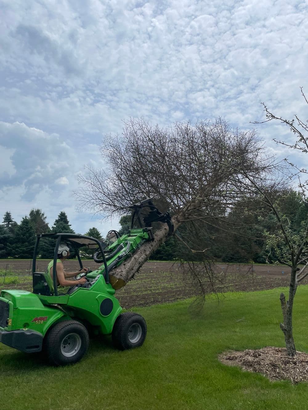 Tree Removal image